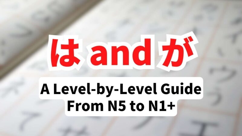 A level-by-level guide to the difference between は and が in Japanese.